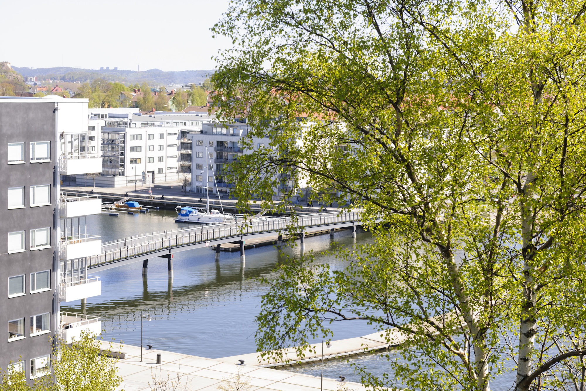 thumbnail for Riksbanken slog till med en sänkning av styrräntan