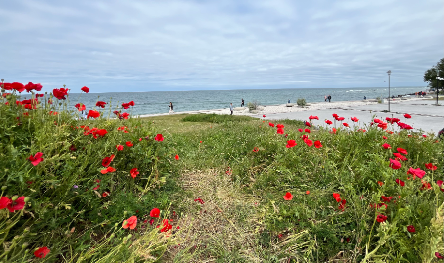 thumbnail for Almedalsveckan 2025 Präglad av oron i omvärlden men ändå hoppfull