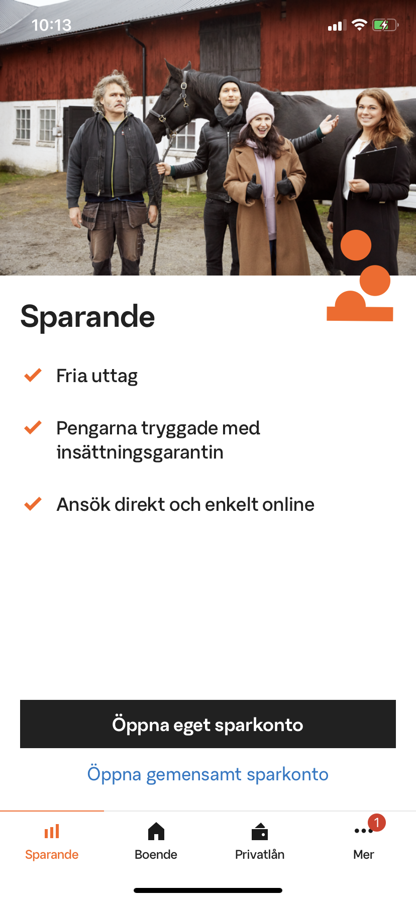 Exempelbild på fliken sparande i appen