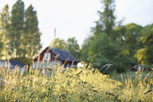 thumbnail for En underhållsplan med energifokus gynnar ditt boende och din boendeekonomi